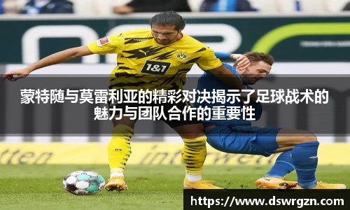 易游体育